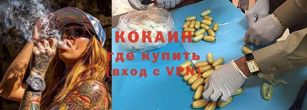 прущий лед Богданович