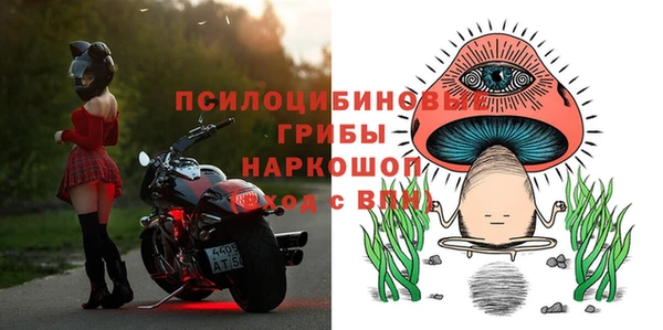 COCAINE Богородицк